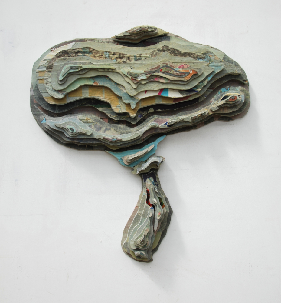 Hugo Lammerink - Amanita