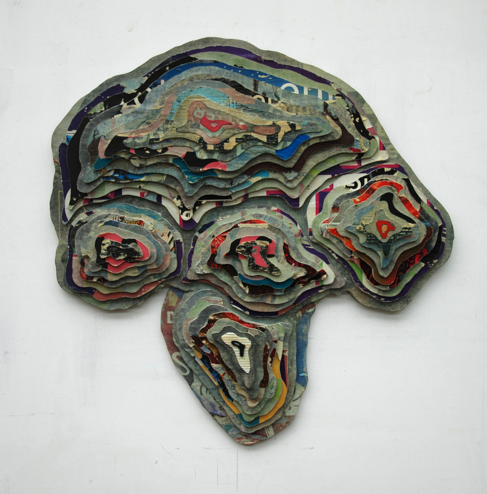 Hugo Lammerink - Boleti