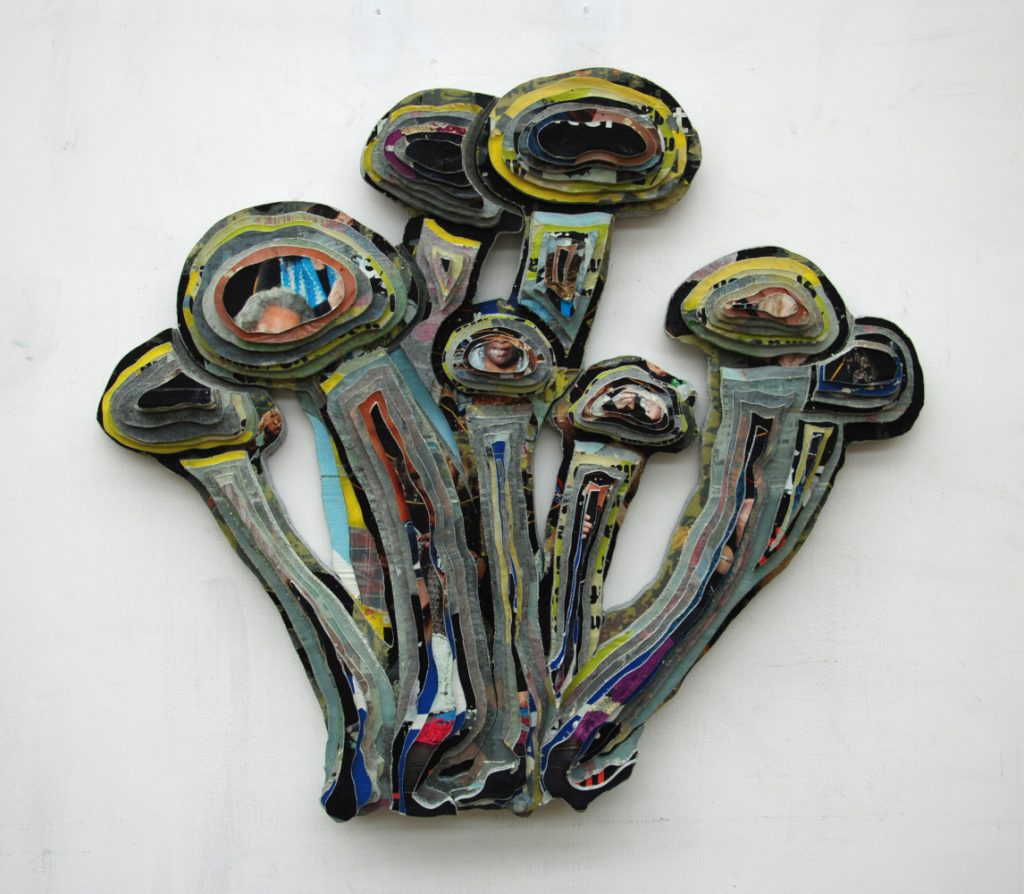 Hugo-Lammerink-Honingzwam