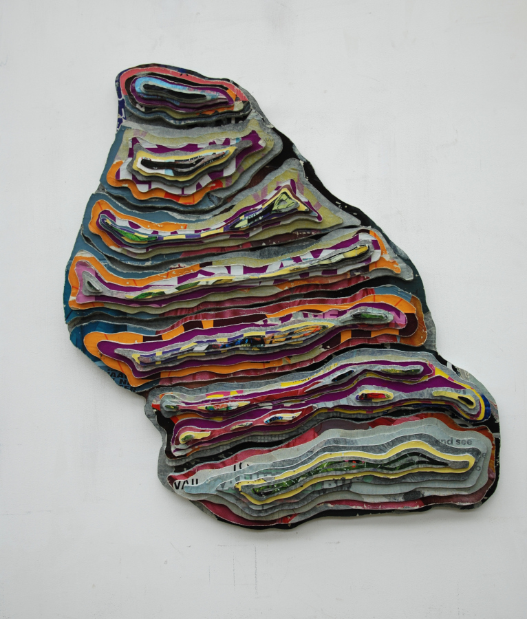 Hugo Lammerink - Tonderzwam