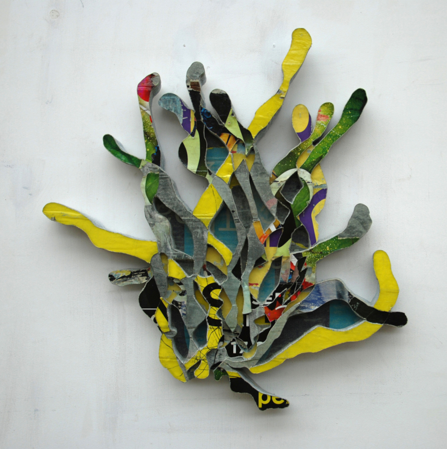 Hugo Lammerink - Koraalzwam